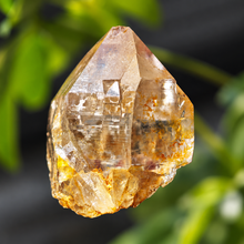 Load image into Gallery viewer, #198 Golden Himalayan Quartz Point — Iron-Stained, 39mm