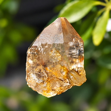 Load image into Gallery viewer, #198 Golden Himalayan Quartz Point — Iron-Stained, 39mm